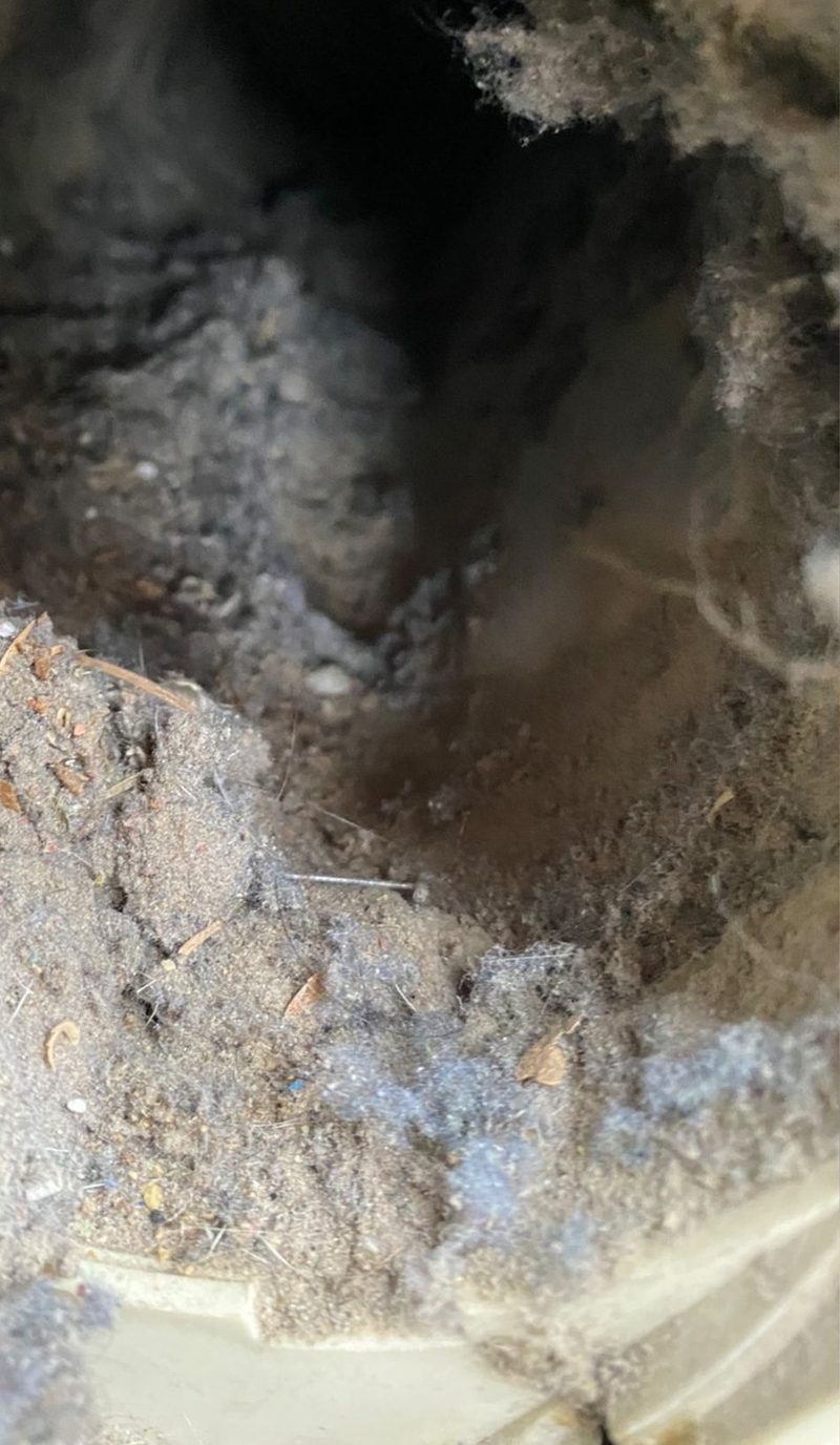 Dryer vent duct packed with lint